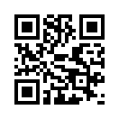 QR CODE 53