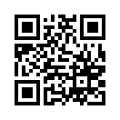 QR CODE 31