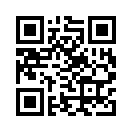 QR CODE 31