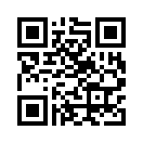 QR CODE 53