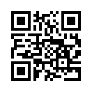 QR CODE 737