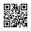 QR CODE 813