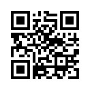 QR CODE 42