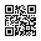 QR CODE 229