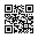 QR CODE 233