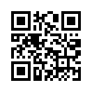 QR CODE 258