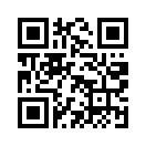 QR CODE 289