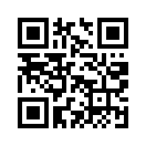 QR CODE 294