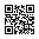 QR CODE 295
