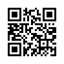 QR CODE 302