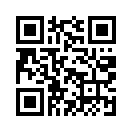 QR CODE 313