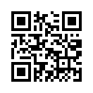 QR CODE 330