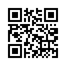 QR CODE 335