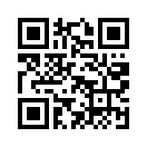 QR CODE 342