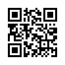 QR CODE 343