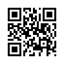 QR CODE 366