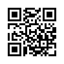 QR CODE 110