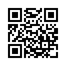 QR CODE 133