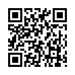 QR CODE 17
