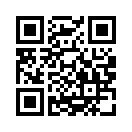 QR CODE 216