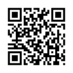 QR CODE 24