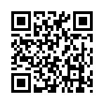 QR CODE 25