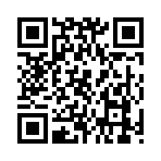 QR CODE 254