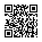 QR CODE 256