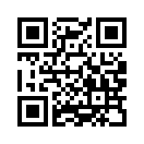 QR CODE 27
