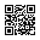 QR CODE 308