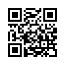 QR CODE 31