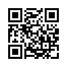 QR CODE 317