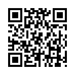 QR CODE 325