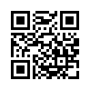 QR CODE 329