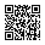 QR CODE 330