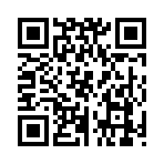 QR CODE 331
