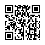 QR CODE 333