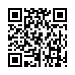 QR CODE 335