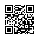 QR CODE 336