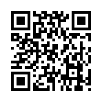 QR CODE 341