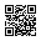 QR CODE 344