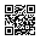 QR CODE 345