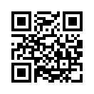 QR CODE 361