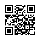 QR CODE 377