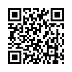 QR CODE 45