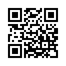 QR CODE 48