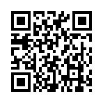 QR CODE 63