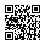 QR CODE 77