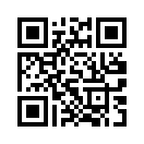 QR CODE 329