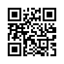 QR CODE 336